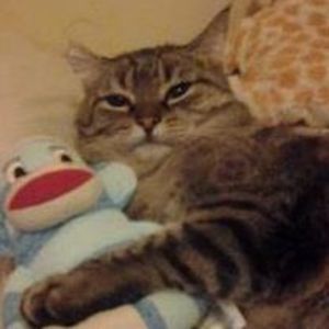 Meet your Posher, Ray